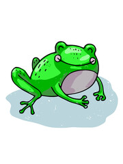 cute green frog in cartoon style, hand-drawn illustration, isolated on a white background