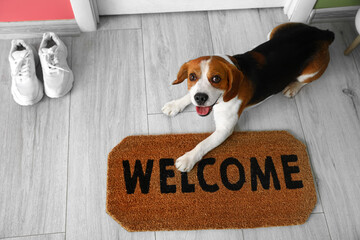 Cute Beagle dog lying near door mat on floor
