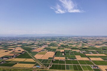 aerial view of a farm