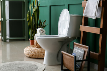 Toilet bowl and ladder with magazine stand near green wall - Powered by Adobe