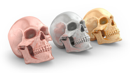 Three metal skulls on a white background. Bronze, silver and gold materials. 3D rendering