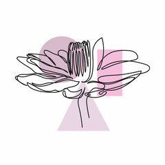 Vector abstract continuous one single line drawing icon of  flower lily in silhouette sketch. Perfect for greeting cards, party invitations, posters