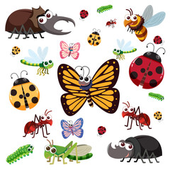 Seamless pattern with many different beetles character on white background