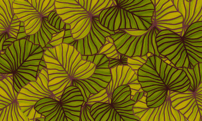 Fototapeta na wymiar green tropical leaves fresh spring,relax nature wallpaper background