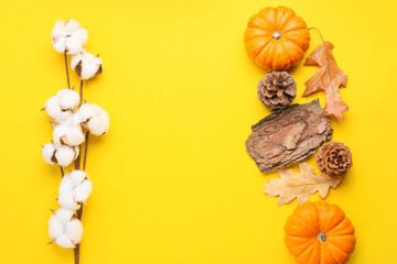 Autumn composition with cotton flowers and pumpkins on yellow background