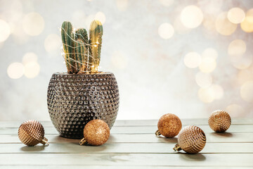Cactus decorated with Christmas lights and ornaments with lights bokeh, Christmas tree alternatives