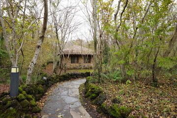 hut in a deep forest
