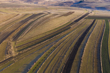 Above aerial view over agricultural fields