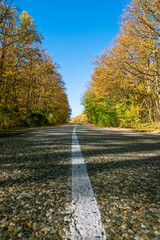 Obraz premium A white solid line of markings on a country road going into the distance. At the edges of the road are yellow-green trees. In the background is a blue sky. The concept of autumn travel.