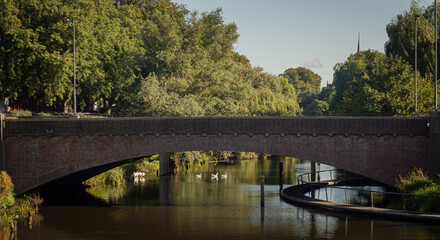  Ładny most nad holenderskim kanałem oraz na tle zielonych drzew
