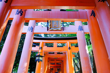 Fushimi Inari Taisha in japan