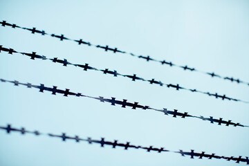 Border barbed wire
