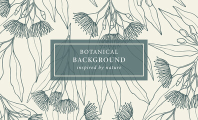 Hand drawn Australian native eucalyptus background © Maria