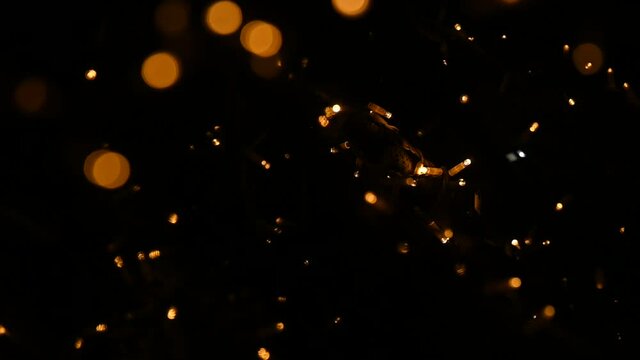 luci lucine natale 