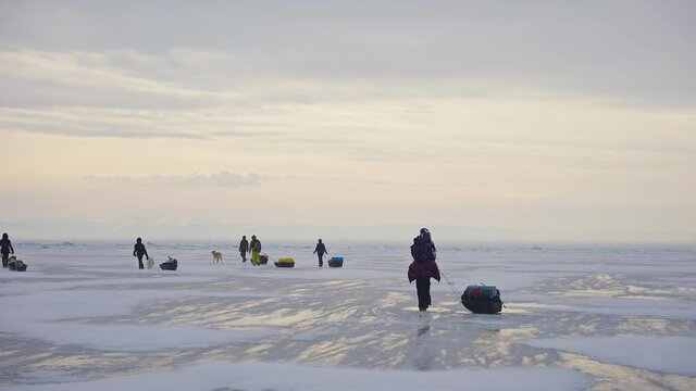 Row of tourists with equipped sledges walk away over frozen ice to misty horizon
