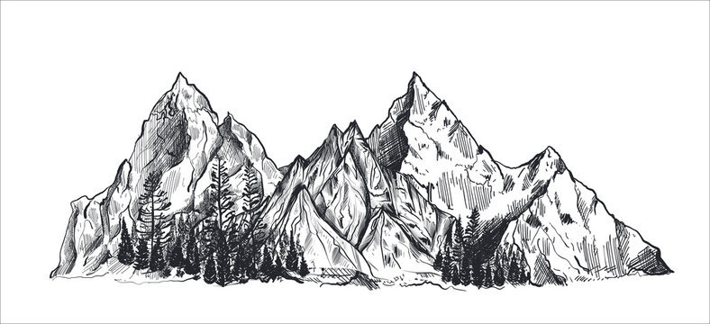 Vector hand drawn graphic mountain ranges and pine forest. Nature landscape.