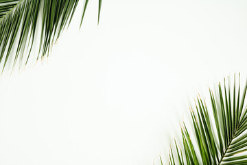 Fototapeta premium Palm leaves lay down on a white background. Minimal flat lay composition with copy space, tropical calming decorative concept