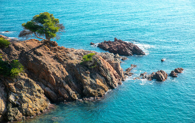 Mediterranean Sea, rocks and tree