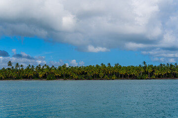 Panorama view of Caribbean landscapes on the beautiful Saona Island in the Dominican Republic