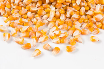 yellow dried corn on white background