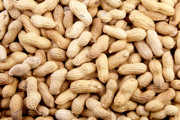 Roasted peanuts in shell background