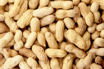 Roasted peanuts in shell background