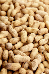 Roasted peanuts in shell background