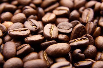 roasted coffee beans background