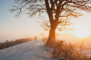 Winter im Teufelsmoor bei Worpswede - 470805779