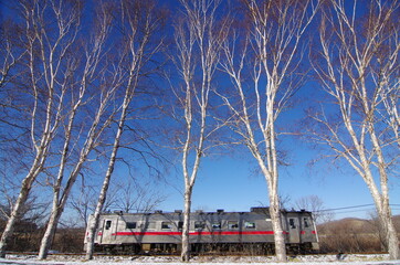 Winter train 