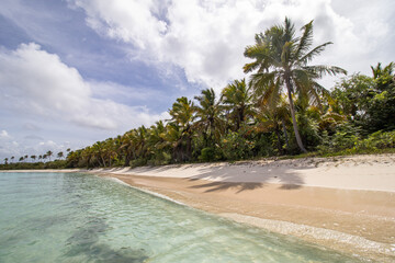 Traumstrand auf Saona Island, Dominikanische Republik, Karibik
