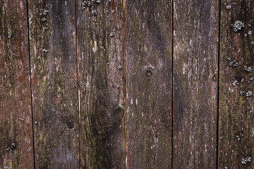 Old wooden rustic fence, wood covered with moss and lichen.