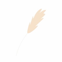 Simple vector illustration of pampas grass