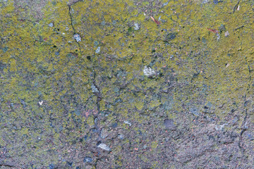 Old wet concrete surface covered with mold and moss. Cracks and small stones are visible. Background. Texture.