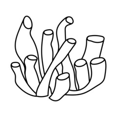 Fototapeta premium vector sea anemone doodle isolated on a white background