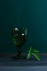 Glass green glass and a sprig of green fern. Minimalism; ecologica concept. Vertical photo