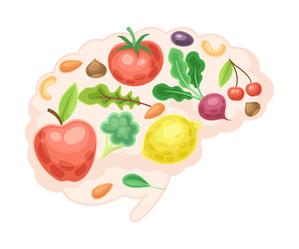 Anatomical brain with fruit and vegerables. Healthy human internal organ vector illustration