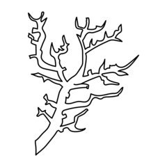 Vector isolated simple contour coral template. Colorless black line coral branch outline doodle sketch