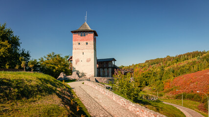 Fototapeta na wymiar Malaiesti citadel in the Hateg region, Transylvania