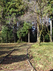 ある秋の日の広い公園の道