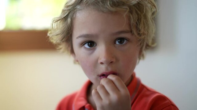 Portrait blond child. Young boy face close-up