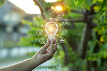 Light bulbs that grow, in the concept of energy in nature.