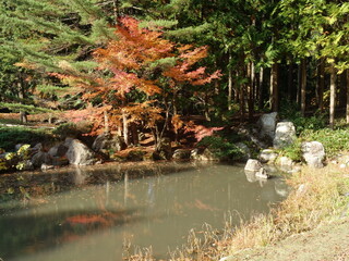 日本庭園の紅葉と池