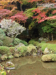 京都・寂光院の紅葉