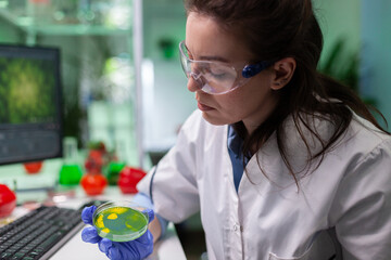 Biologist researcher woman doctor holding petri dish with fluid bacteria analyzing medical plate during microbiology clinical experiment. Chemist scientist working in pharmacology hospital laboratory © DC Studio