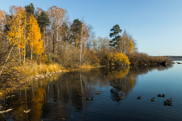 autumn trees reflected in water