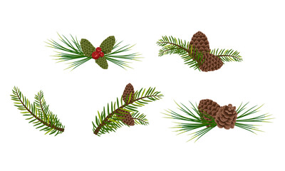 Set of green Christmas fir and pine branches with cones and berries. Festive interior decoration for new year, element for design Christmas wreath on door. Vector flat illustration