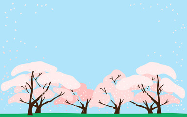 Vector illustration of cherry blossom trees, petals and blue sky.