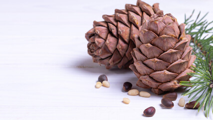 banner, pine cones with nuts on a white wooden background, natural cosmetics concept