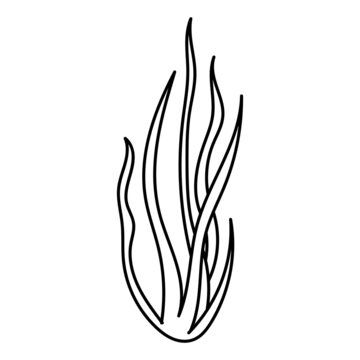 recommend clip art: Seaweed Algae doodle vector illustration. Vector, isolated on a white background